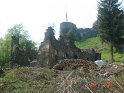 Schlägerung 072